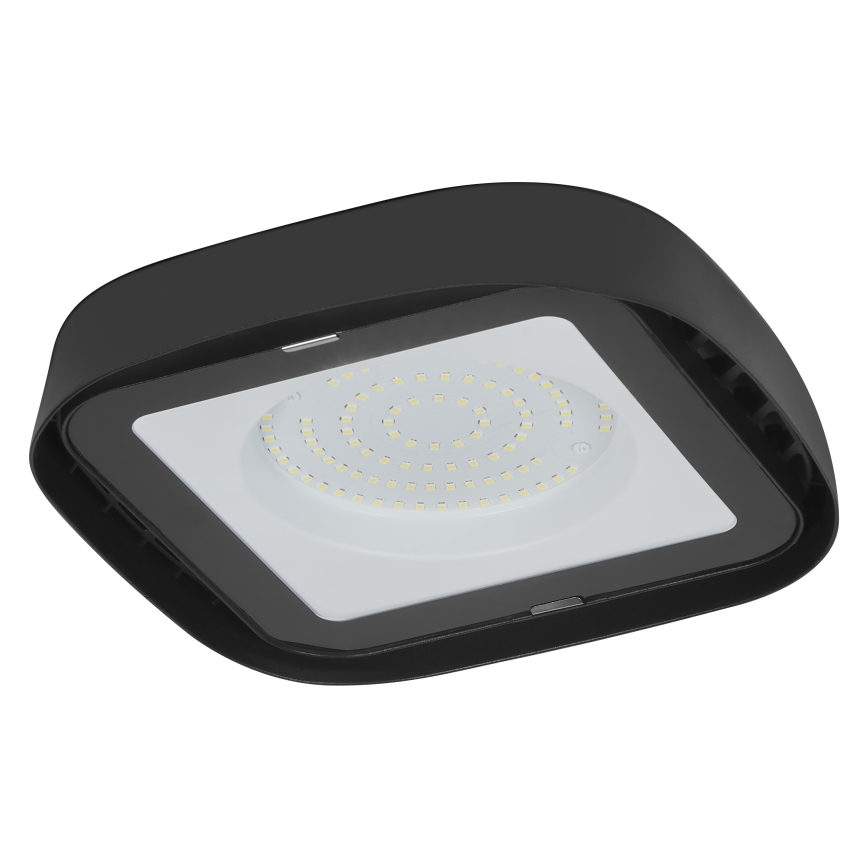 Ledvance - Plafonnier industriel HIGHBAY LED/80W/230V IP65 6500K