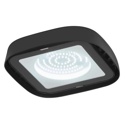 Ledvance - Plafonnier industriel HIGHBAY LED/80W/230V IP65 6500K