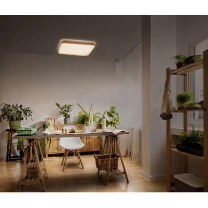 Ledvance - Plafonnier LED dimmable ORBIS LED/16W/230V 3000K 29x29 cm