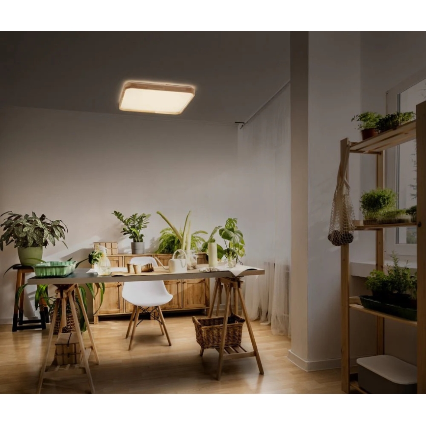 Ledvance - Plafonnier LED dimmable ORBIS LED/16W/230V 3000K 29x29 cm