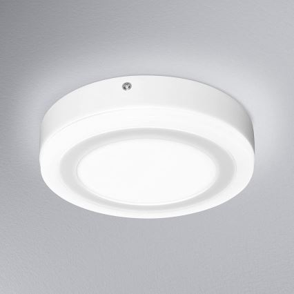 Ledvance - Plafonnier LED ROUND LED/15W/230V d. 20 cm