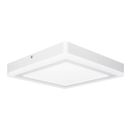 Ledvance - Plafonnier LED SQUARE LED/18W/230V