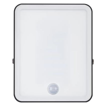 Ledvance - Projecteur d'extérieur avec détecteur FLOODLIGHT LED/30W/230V 6500K IP65