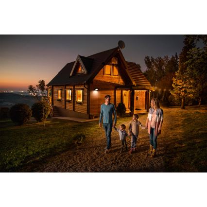 Ledvance - Projecteur mural extérieur LED à détecteur de mouvement et crépusculaire FLOODLIGHT LED/30W/230V IP65