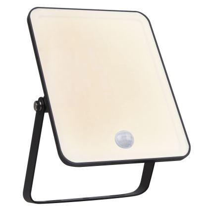 Ledvance - Projecteur mural extérieur LED à détecteur de mouvement et crépusculaire FLOODLIGHT LED/30W/230V IP65