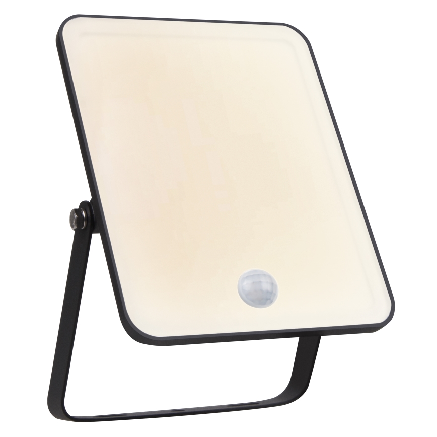 Ledvance - Projecteur mural extérieur LED à détecteur de mouvement et crépusculaire FLOODLIGHT LED/30W/230V IP65