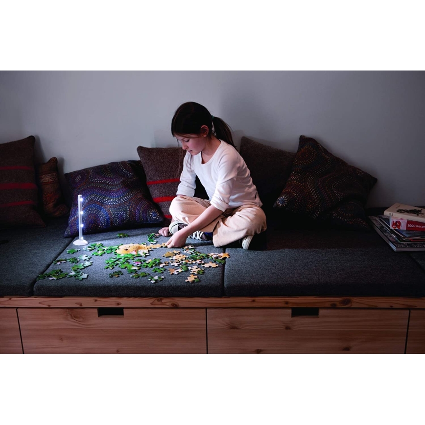 Ledvance - Spot de balisage LED LEDSTIXX LED/0,6W/3xAAA