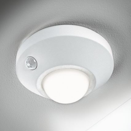 Ledvance - Veilleuse avec détecteur NIGHTLUX LED/1,7W/3xAA 4000K