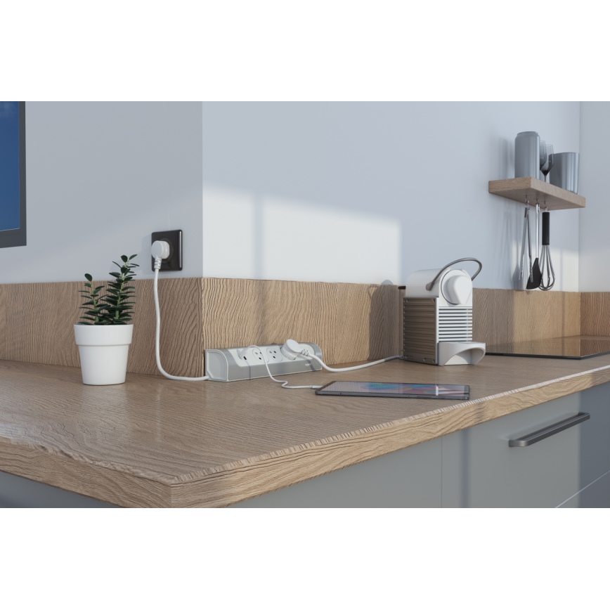 Legrand 049406 - Rallonge 3 prises Type E + USB-A + USB-C, 1 m, argenté/blanc