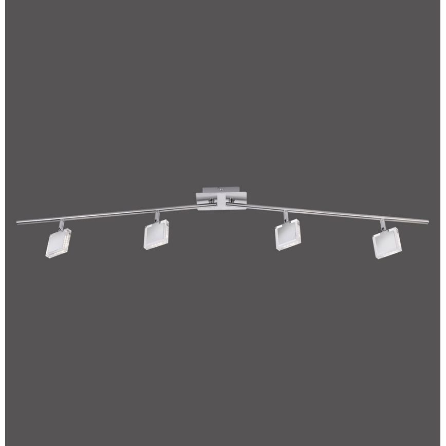 Leuchten Direkt 11084-55 - Spot LED TONY 4xLED/4W/230V