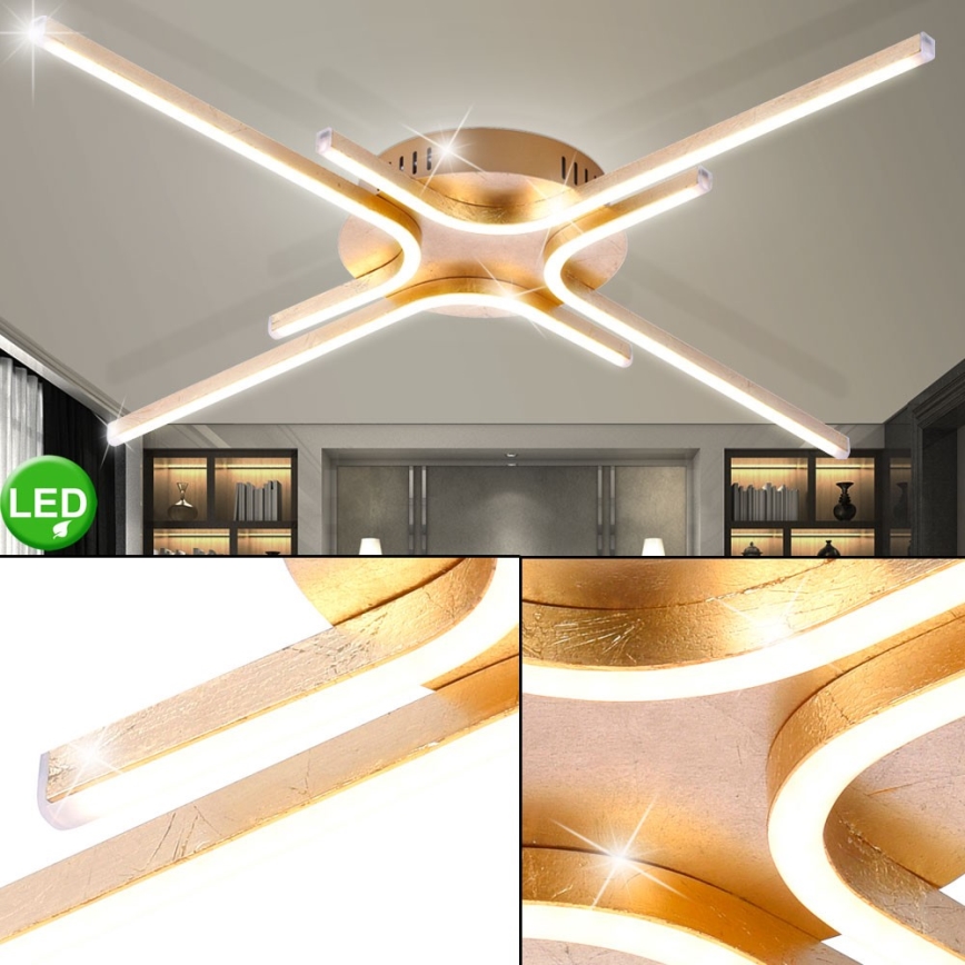 Paul Neuhaus 11324-12 - Plafonnier LED GREGOR 4xLED/8W/230V