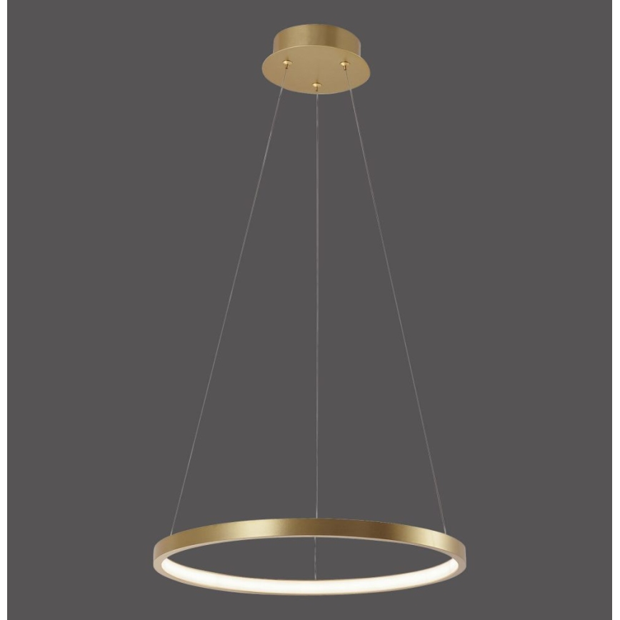 Leuchten Direkt 11522-12 - Suspension LED avec fil CIRCLE LED/19W/230V