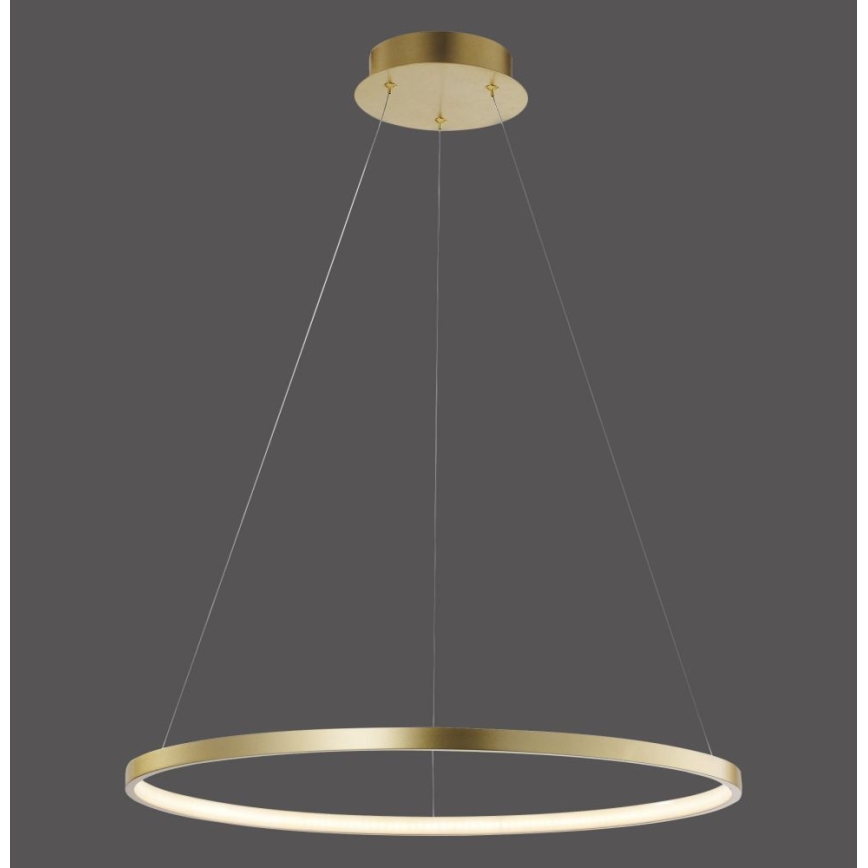 Leuchten Direkt 11524-12 - Suspension LED avec fil CIRCLE LED/28