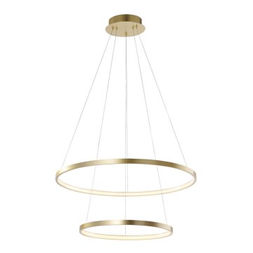 Leuchten Direkt 11525-12 -Suspension LED avec fil CIRCLE LED/18,5W/230V + LED/23,5W