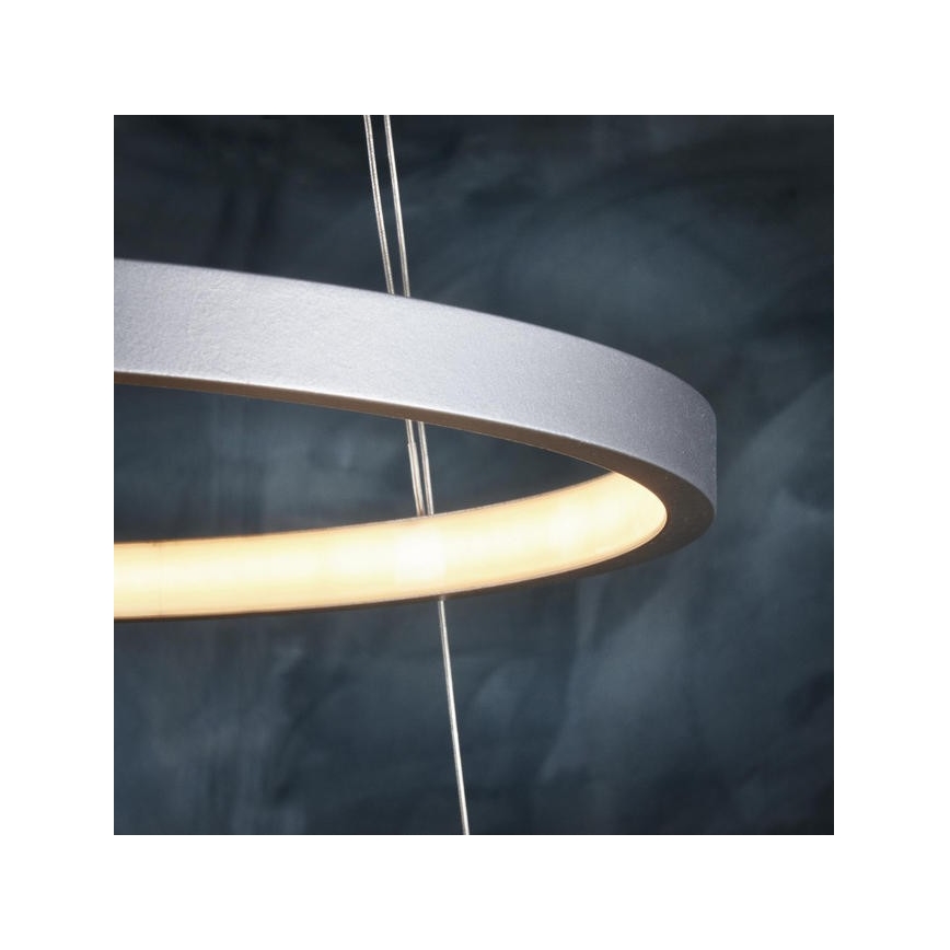 Leuchten Direkt 11525-21 - Suspension LED avec fil CIRCLE 1xLED/15W/230V + LED/25W