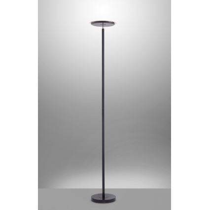 Leuchten Direkt 11729-18 - Lampadaire à intensité variable HANS LED/22W/230V