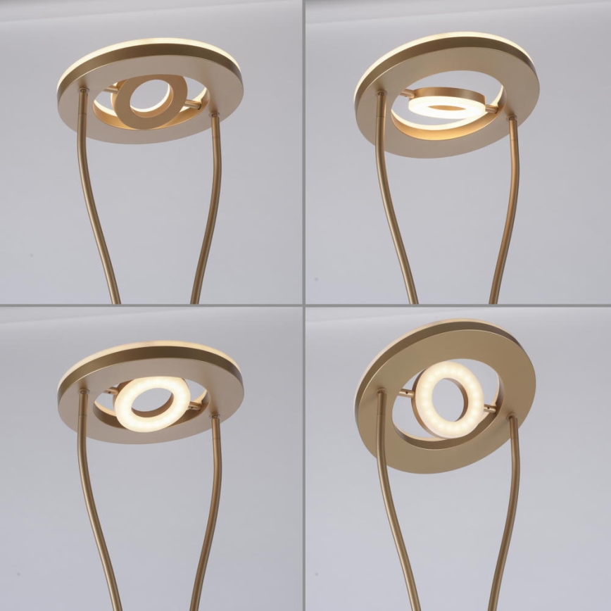Leuchten Direkt 11778-60 - Lampe LED à intensité variable HELIA LED/16,8W/230V + LED/7,6W