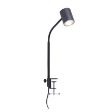 Leuchten Direkt 11940-13 - Lampe de table avec une pince TARIK 1xGU10/5W/230V
