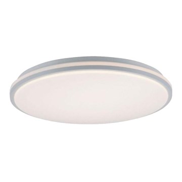 Leuchten Direkt 14208-16 - Plafonnier à intensité variable COLIN LED/18W/230V