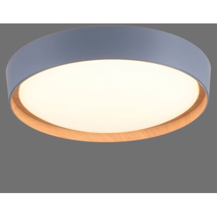 Leuchten Direkt 14347-15 - Plafonnier à intensité variable EMILIA LED/28,8W/230V gris