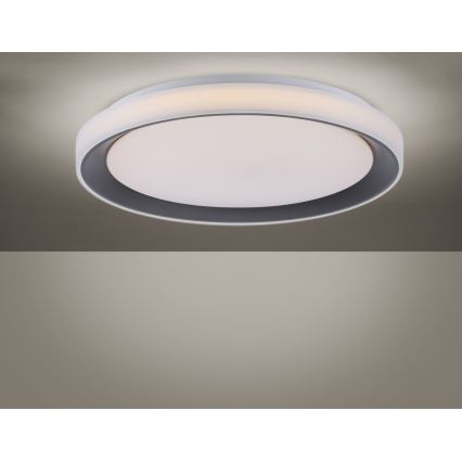 Leuchten Direkt 14659-18 - Plafonnier dimmable LED RGB LOLA LED/24W/230V Tuya + télécommande