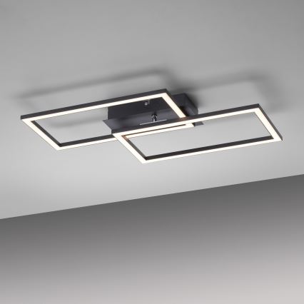 Leuchten Direkt 14692-18 - Plafonnier à intensité variable IVEN LED/36W/230V