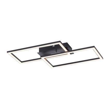 Leuchten Direkt 14692-18 - Plafonnier à intensité variable IVEN LED/36W/230V