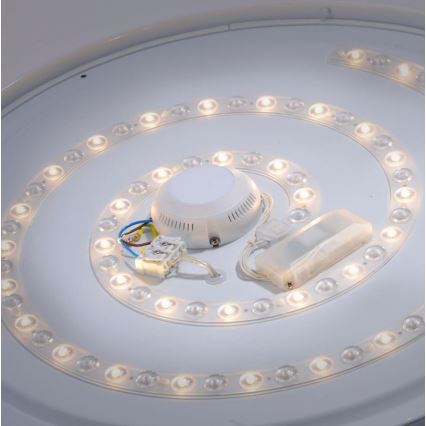 Leuchten Direkt 14822-17 - Plafonnier salle de bain avec un détecteur LAVINIA LED/40W/230V IP44