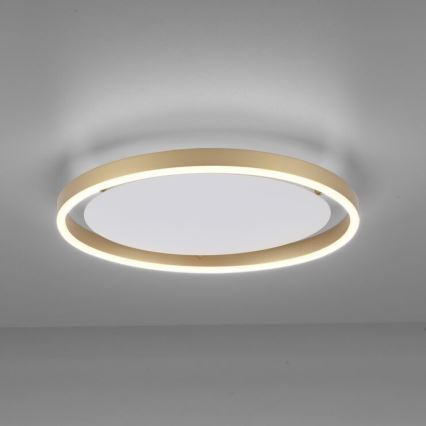 Leuchten Direkt 15391-60 - Plafonnier LED à intensité variable RITUS LED/20W/230V laiton