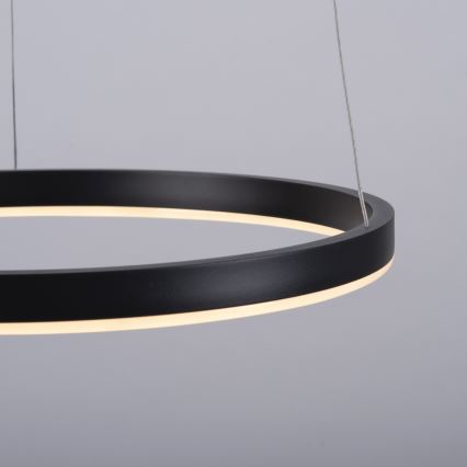 Leuchten Direkt 15393-13 - Suspension LED dimmable sur câble RITUS LED/23,5W/230V noir