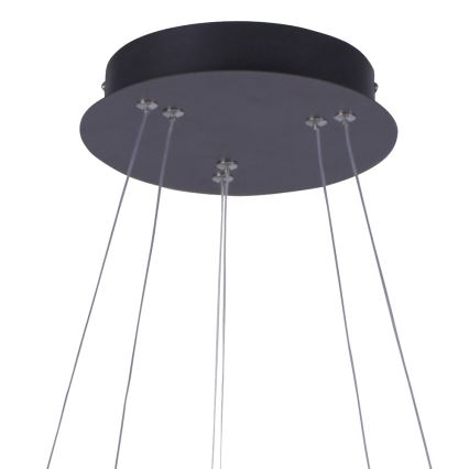 Leuchten Direkt 15610-18 - Suspension filaire à intensité variable MUSA LED/36W/230V