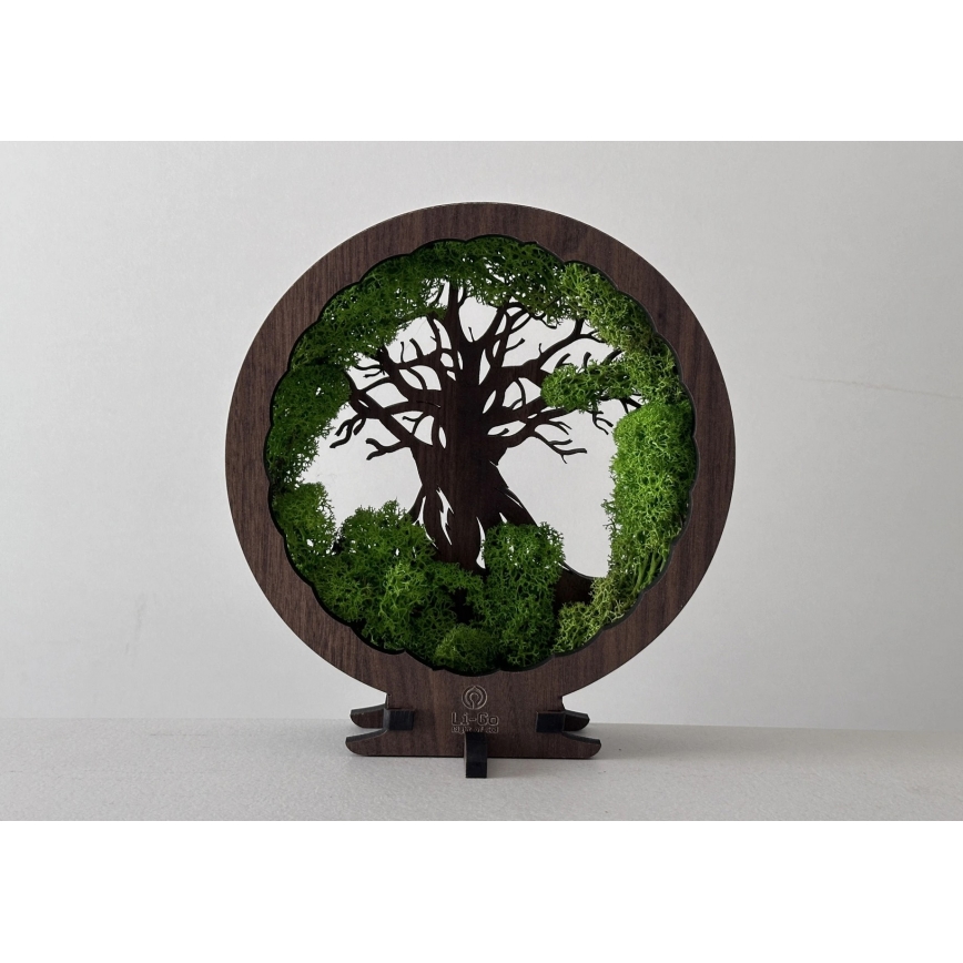 Li-Go 23604/DUB2 - Décoration de table LED dimmable LED/12W/230V 20x22 cm chêne/mousse et arbre