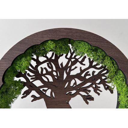 Li-Go 23604/DUB2 - Décoration de table LED dimmable LED/12W/230V 20x22 cm chêne/mousse et arbre