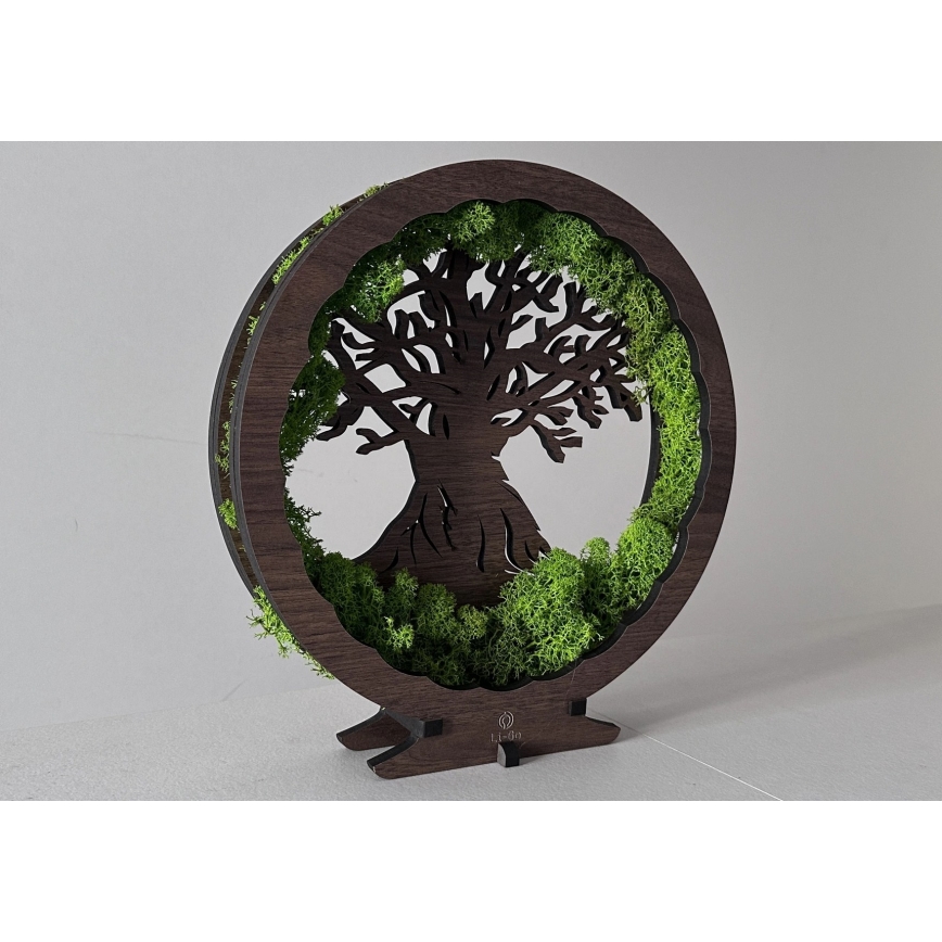 Li-Go 23604/DUB2 - Décoration de table LED dimmable LED/12W/230V 20x22 cm chêne/mousse et arbre