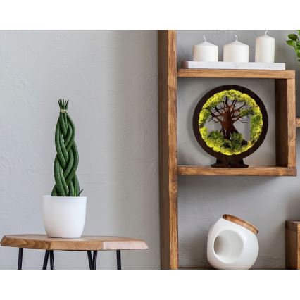 Li-Go 23631/DUB2 - Décoration de table LED dimmable LED/12W/230V 30x31 cm chêne/mousse et arbre