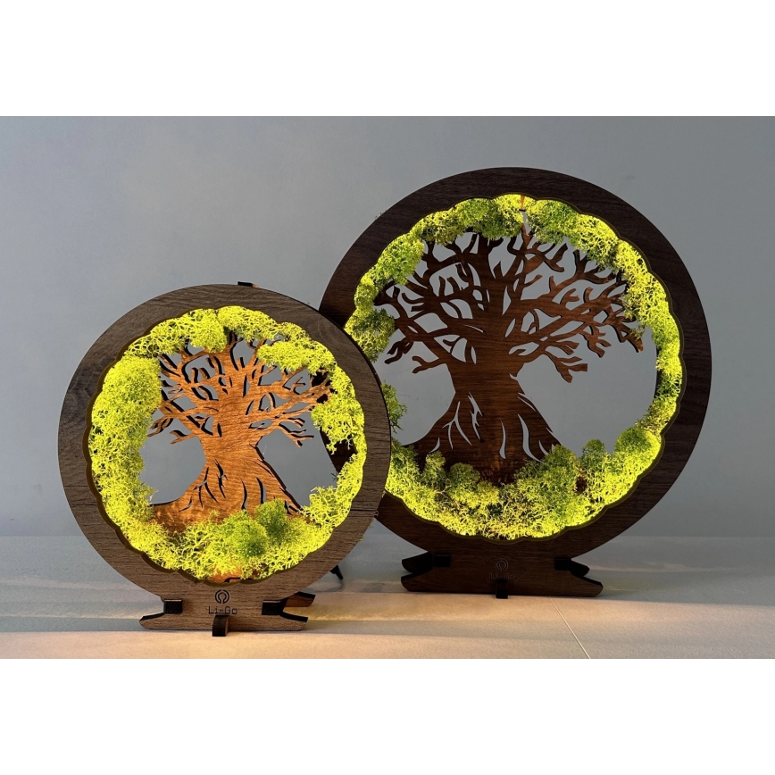 Li-Go 23631/DUB2 - Décoration de table LED dimmable LED/12W/230V 30x31 cm chêne/mousse et arbre