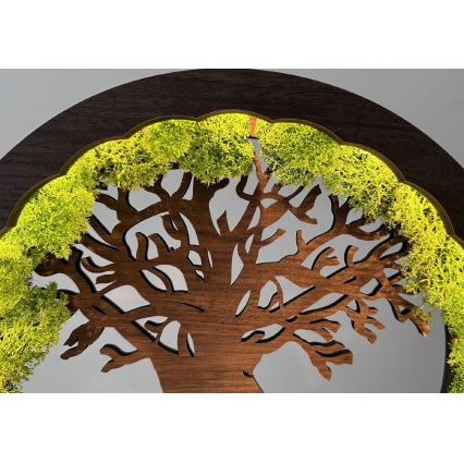 Li-Go 23631/DUB2 - Décoration de table LED dimmable LED/12W/230V 30x31 cm chêne/mousse et arbre
