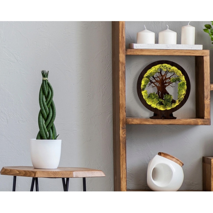 Li-Go 23631/DUB2 - Décoration de table LED dimmable LED/12W/230V 30x31 cm chêne/mousse et arbre