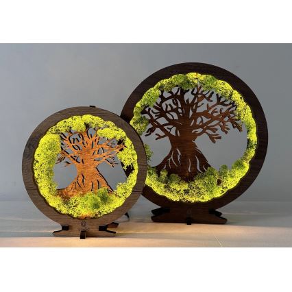 Li-Go 23631/DUB2 - Décoration de table LED dimmable LED/12W/230V 30x31 cm chêne/mousse et arbre