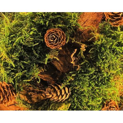 Li-Go 23654 - Lampe de table décorative LED dimmable LED/12W/230V 20×22 cm, finition noyer / composition en mousse