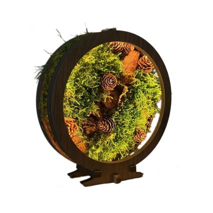 Li-Go 23654 - Décoration de table LED à intensité variable LED/12W/230V 20x22 cm noyer/motif mousseux