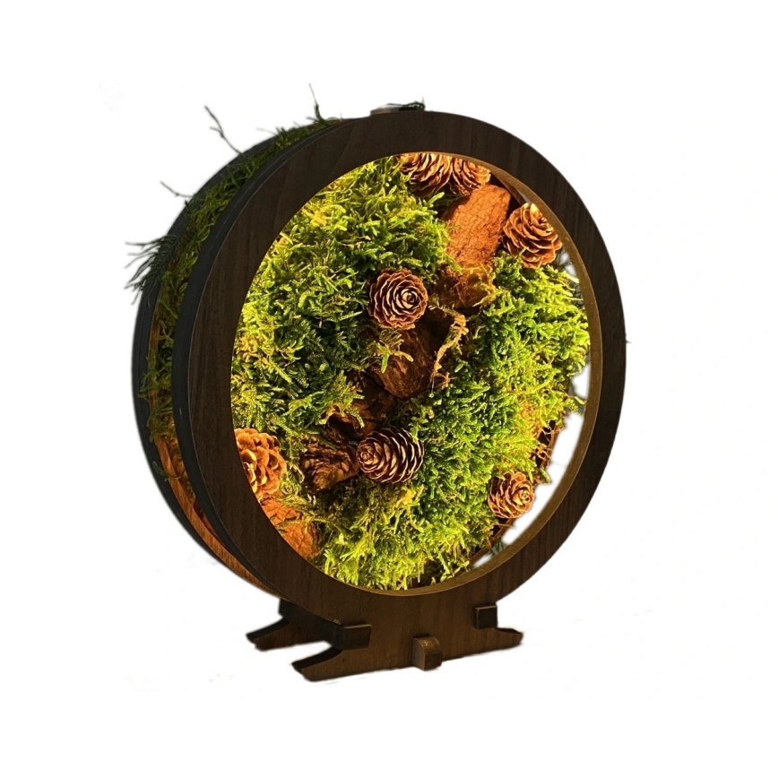 Li-Go 23654 - Décoration de table LED à intensité variable LED/12W/230V 20x22 cm noyer/motif mousseux