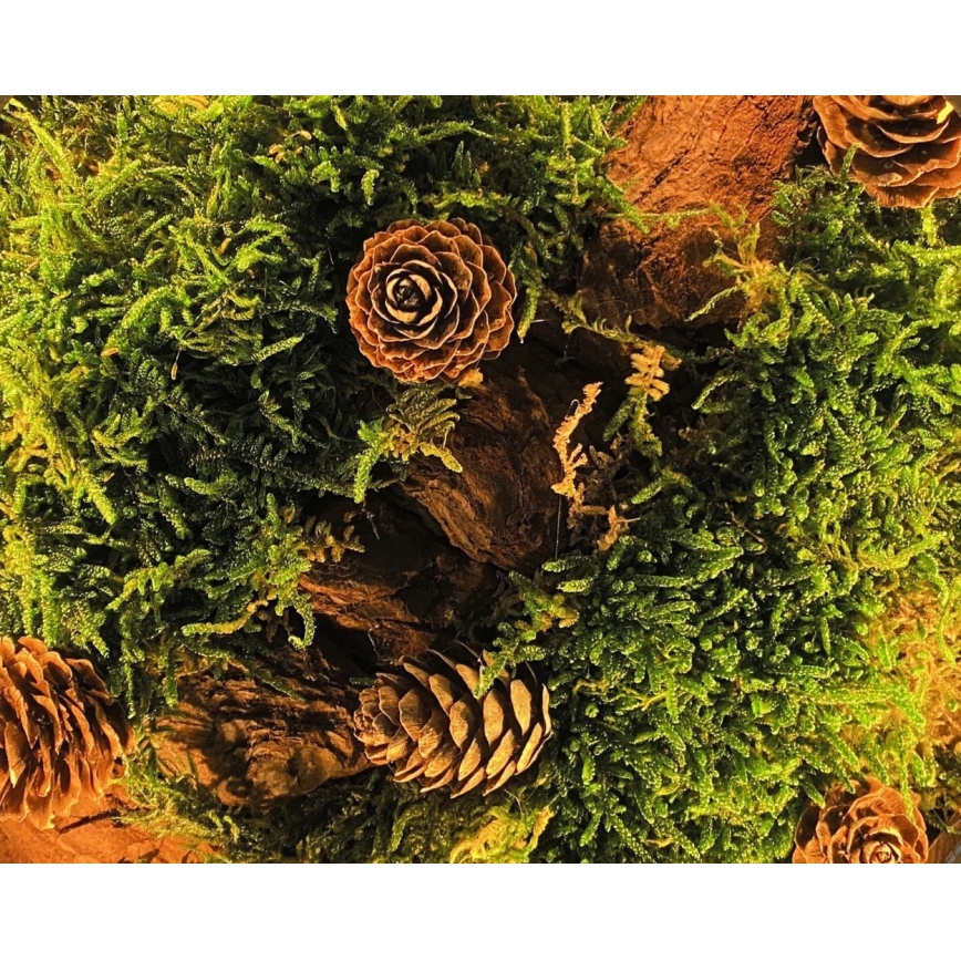 Li-Go 23654 - Décoration de table LED à intensité variable LED/12W/230V 20x22 cm noyer/motif mousseux