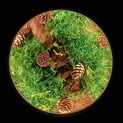 Li-Go 23654 - Décoration de table LED à intensité variable LED/12W/230V 20x22 cm noyer/motif mousseux