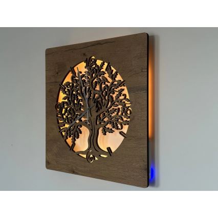 Li-Go 5652/DUB2 - Horloge LED dimmable LED/10W/5V 20000 mAh 42x42 cm chêne/Chêne en cercle + télécommande