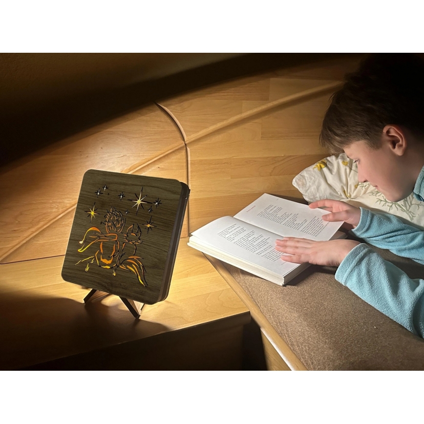 Li-Go 5788/DUB2 - Lampe décorative LED de table LED/12W/230V 19x19 cm chêne/Le Petit Prince