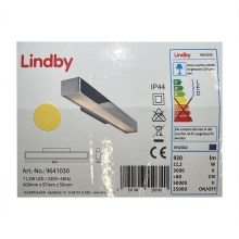 Lindby - Éclairage miroir salle de bain KIANA LED/11,2W/230V IP44