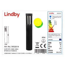 Lindby - Lampe d'extérieur JORDIS LED/6,5W/230V