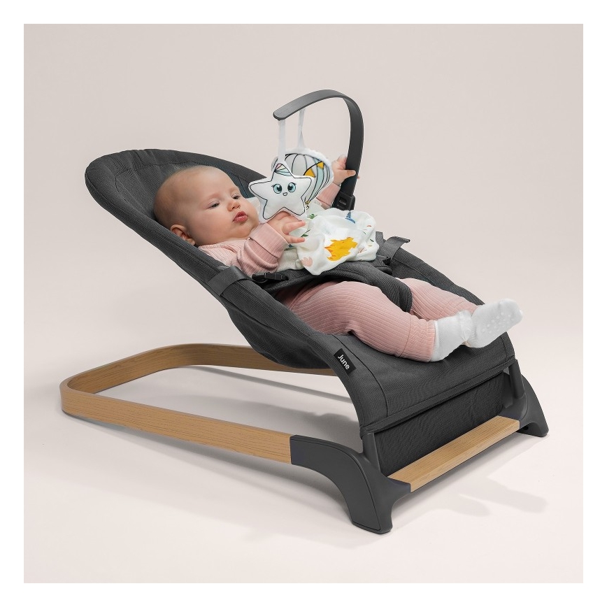 Lionelo - Balancelle pour bébé JUNE grise