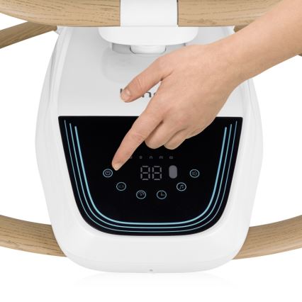 Lionelo - Balancelle pour bébé OLIVIA Beige naturel avec mélodie + télécommande